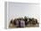 Libyan Camel Riders Holding Flags of Arab Countries Gather to Perform at Sirte Airport-null-Framed Premier Image Canvas