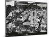 License Plate, 1975-Brett Weston-Mounted Photographic Print