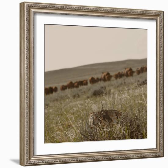 License to Drive-Amanda Lee Smith-Framed Photographic Print