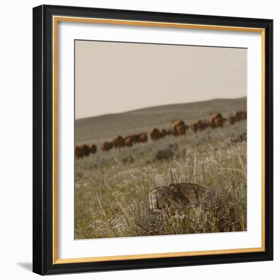 License to Drive-Amanda Lee Smith-Framed Photographic Print