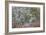 Lichen and Moss-Don Paulson-Framed Giclee Print