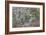 Lichen and Moss-Don Paulson-Framed Giclee Print