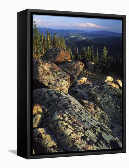 Lichen Covered on Boulders on Continental Divide, Wyoming, USA-Scott T. Smith-Framed Premier Image Canvas