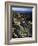 Lichen Covered on Boulders on Continental Divide, Wyoming, USA-Scott T. Smith-Framed Photographic Print