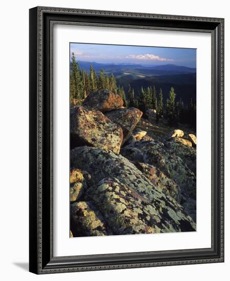 Lichen Covered on Boulders on Continental Divide, Wyoming, USA-Scott T. Smith-Framed Photographic Print