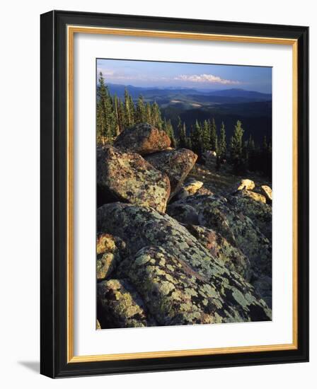 Lichen Covered on Boulders on Continental Divide, Wyoming, USA-Scott T. Smith-Framed Photographic Print