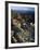 Lichen Covered on Boulders on Continental Divide, Wyoming, USA-Scott T. Smith-Framed Photographic Print