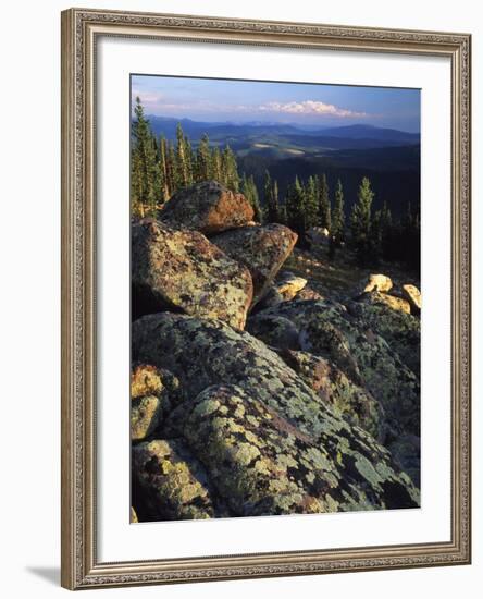 Lichen Covered on Boulders on Continental Divide, Wyoming, USA-Scott T. Smith-Framed Photographic Print