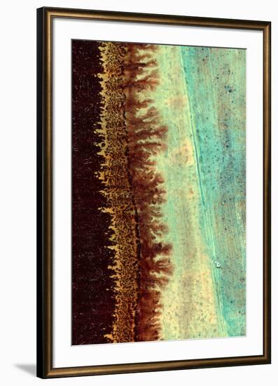 Lichen I-J^ McKenzie-Framed Giclee Print