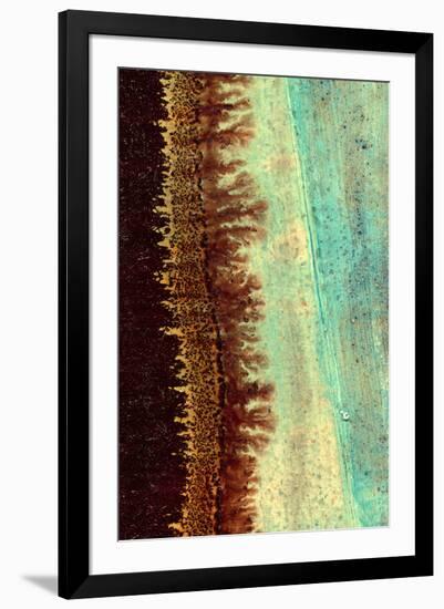 Lichen I-J^ McKenzie-Framed Giclee Print