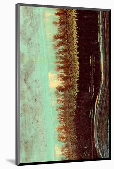 Lichen II-J^ McKenzie-Mounted Giclee Print