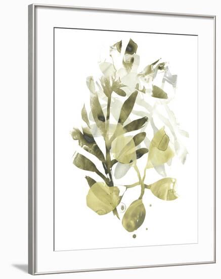 Lichen & Leaves II-June Vess-Framed Art Print