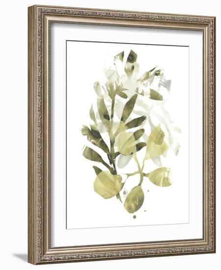 Lichen & Leaves II-June Vess-Framed Art Print