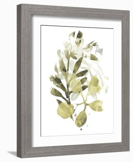 Lichen & Leaves II-June Vess-Framed Art Print