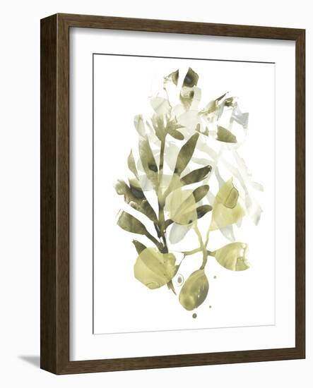 Lichen & Leaves II-June Vess-Framed Art Print