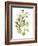 Lichen & Leaves II-June Vess-Framed Art Print