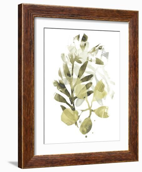 Lichen & Leaves II-June Vess-Framed Art Print