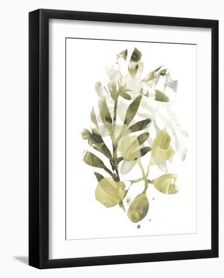 Lichen & Leaves II-June Vess-Framed Art Print