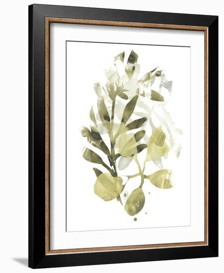 Lichen & Leaves II-June Vess-Framed Art Print