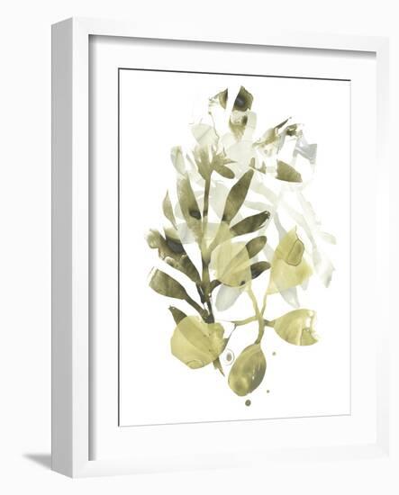 Lichen & Leaves II-June Vess-Framed Art Print