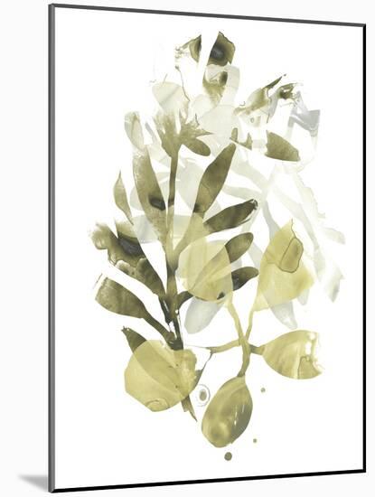 Lichen & Leaves II-June Vess-Mounted Art Print
