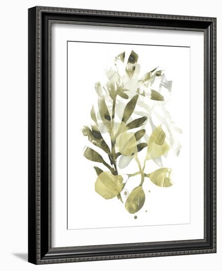 Lichen & Leaves II-June Vess-Framed Art Print