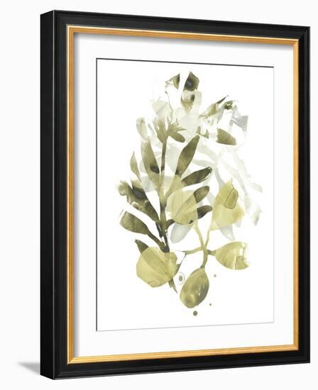 Lichen & Leaves II-June Vess-Framed Art Print