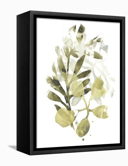 Lichen & Leaves II-June Vess-Framed Stretched Canvas