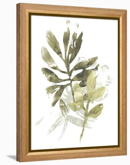 Lichen & Leaves III-June Vess-Framed Stretched Canvas