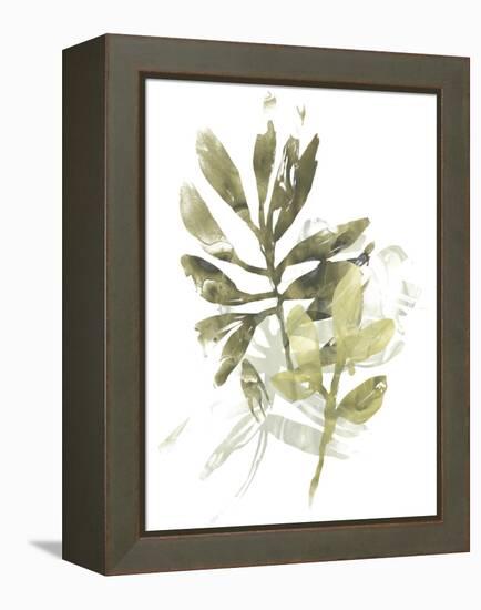 Lichen & Leaves III-June Vess-Framed Stretched Canvas