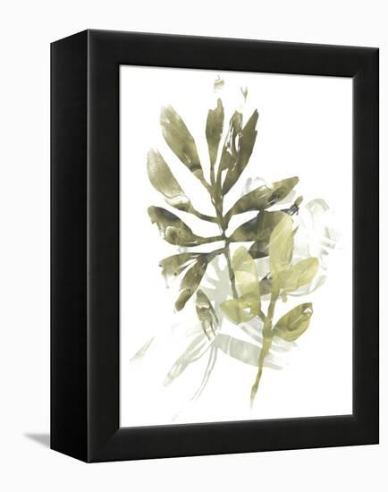 Lichen & Leaves III-June Vess-Framed Stretched Canvas