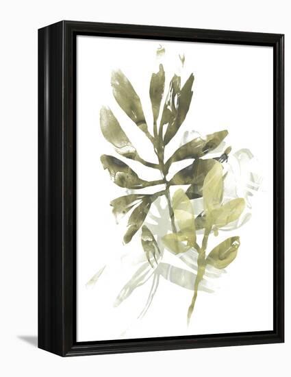 Lichen & Leaves III-June Vess-Framed Stretched Canvas