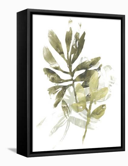 Lichen & Leaves III-June Vess-Framed Stretched Canvas