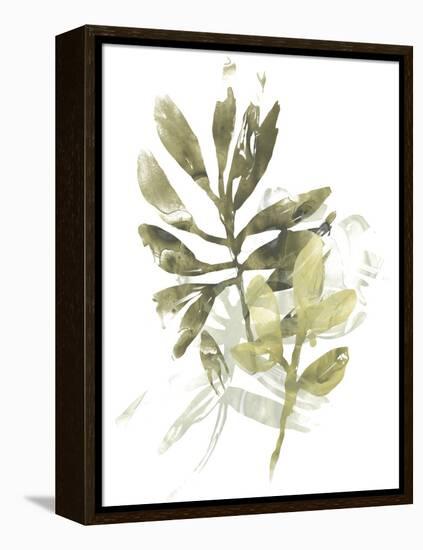 Lichen & Leaves III-June Vess-Framed Stretched Canvas