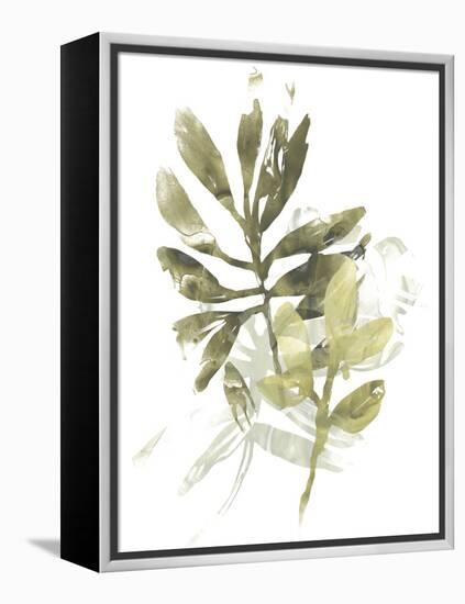 Lichen & Leaves III-June Vess-Framed Stretched Canvas