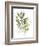 Lichen & Leaves III-June Vess-Framed Premium Giclee Print