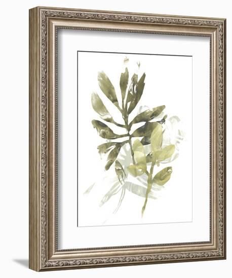 Lichen & Leaves III-June Vess-Framed Premium Giclee Print