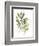 Lichen & Leaves III-June Vess-Framed Premium Giclee Print