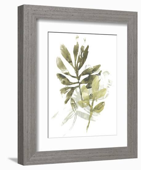 Lichen & Leaves III-June Vess-Framed Premium Giclee Print