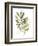 Lichen & Leaves III-June Vess-Framed Premium Giclee Print