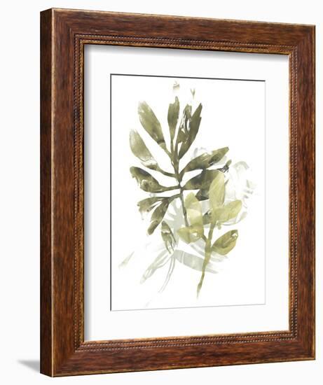 Lichen & Leaves III-June Vess-Framed Premium Giclee Print