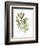 Lichen & Leaves III-June Vess-Framed Premium Giclee Print