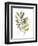 Lichen & Leaves III-June Vess-Framed Premium Giclee Print