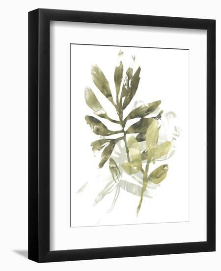 Lichen & Leaves III-June Vess-Framed Premium Giclee Print