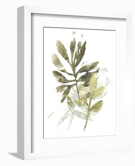 Lichen & Leaves III-June Vess-Framed Premium Giclee Print