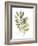 Lichen & Leaves III-June Vess-Framed Art Print