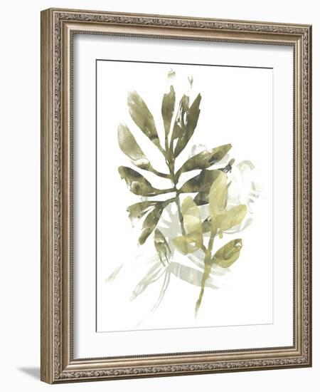 Lichen & Leaves III-June Vess-Framed Art Print