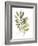 Lichen & Leaves III-June Vess-Framed Art Print