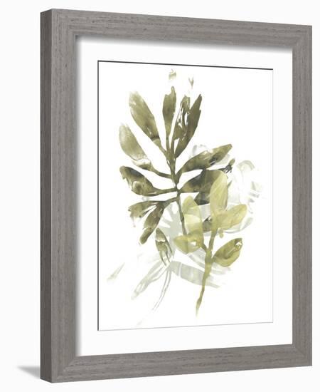 Lichen & Leaves III-June Vess-Framed Art Print