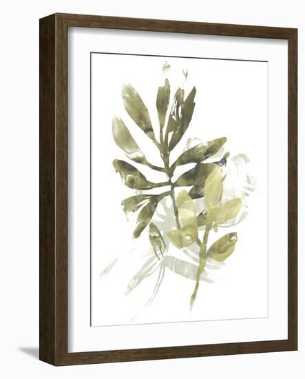 Lichen & Leaves III-June Vess-Framed Art Print